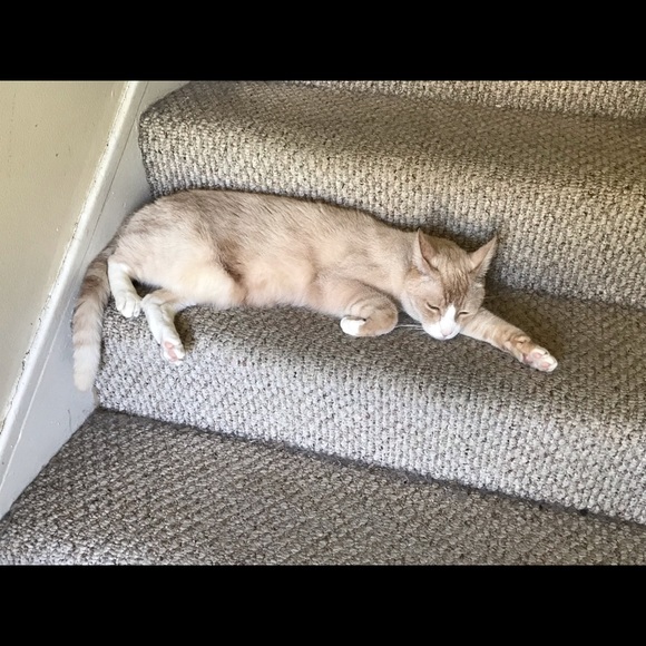 Meet your Posher, Kenneth - Picture 5 of 5